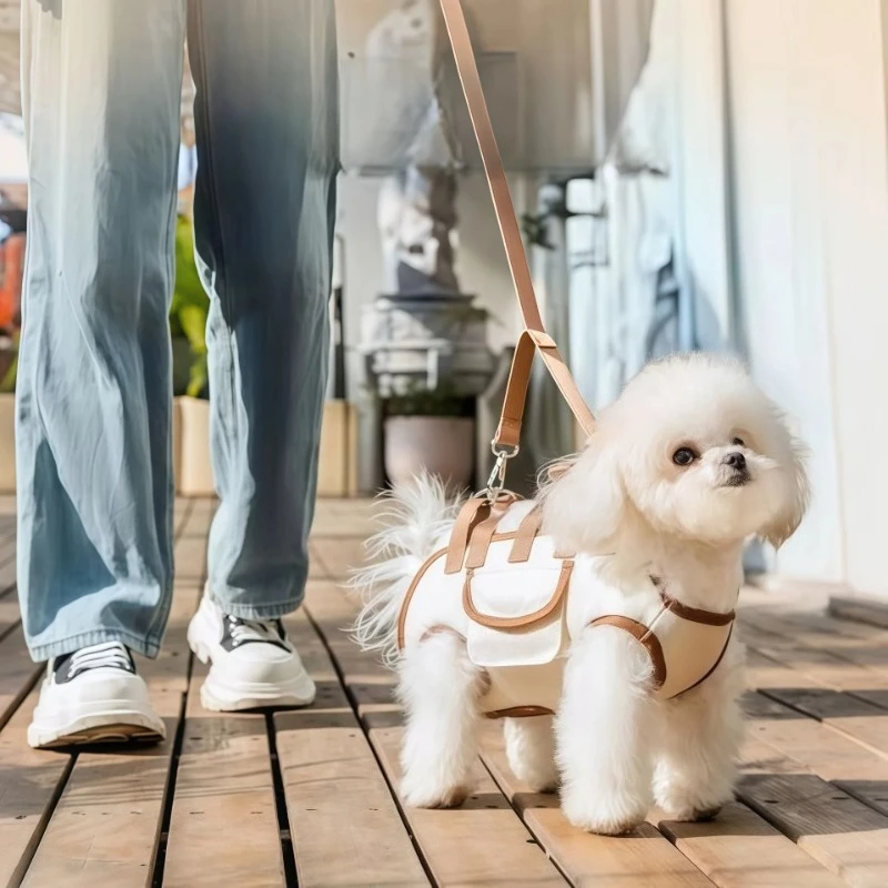 Küçük Köpek Taşıyıcı Sling Sır - Heavy Equipment Cat incelemesi ve fiyatı