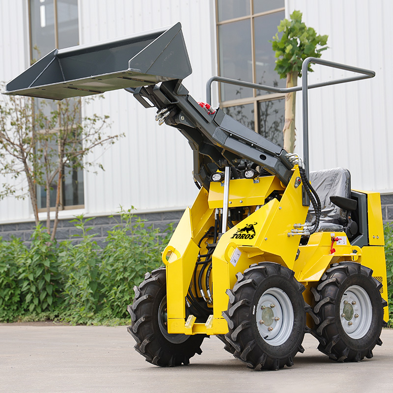 En İyi Fiyat ve İyi Durumda Pa - Skid Steer Loader incelemesi ve fiyatı