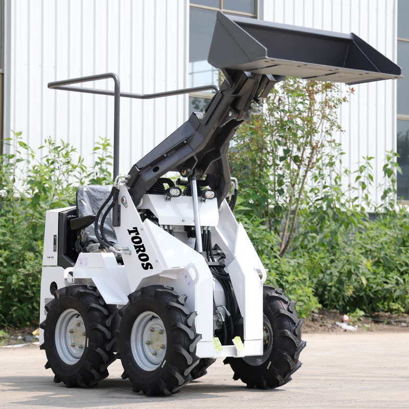 En İyi Fiyat ve İyi Durumda Pa - Skid Steer Loader incelemesi ve fiyatı